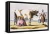 Milk, C1845-Benjamin Waterhouse Hawkins-Framed Stretched Canvas