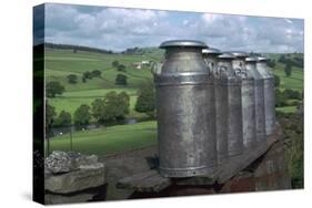 Milk cans at farm gateway-CM Dixon-Stretched Canvas