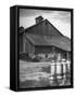 Milk Cans Being Stored on a Farm-null-Framed Stretched Canvas