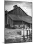 Milk Cans Being Stored on a Farm-null-Mounted Photographic Print