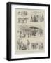 Milk Fair in St James's Park-S.t. Dadd-Framed Giclee Print