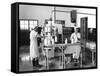 Milk Production, Zagreb, Yugoslavia, 1952-null-Framed Stretched Canvas