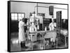 Milk Production, Zagreb, Yugoslavia, 1952-null-Framed Stretched Canvas