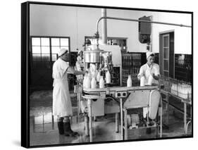Milk Production, Zagreb, Yugoslavia, 1952-null-Framed Stretched Canvas