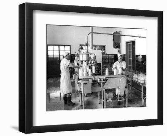 Milk Production, Zagreb, Yugoslavia, 1952-null-Framed Giclee Print