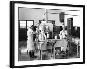 Milk Production, Zagreb, Yugoslavia, 1952-null-Framed Giclee Print