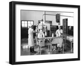 Milk Production, Zagreb, Yugoslavia, 1952-null-Framed Giclee Print