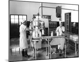 Milk Production, Zagreb, Yugoslavia, 1952-null-Mounted Giclee Print