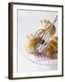 Milk Rolls and Croissant with Cake Tongs-Caroline Martin-Framed Photographic Print