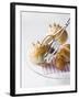 Milk Rolls and Croissant with Cake Tongs-Caroline Martin-Framed Photographic Print