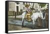 Milk Seller on Burro, Mexico-null-Framed Stretched Canvas
