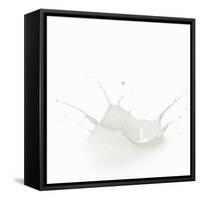 Milk Splash-Kröger and Gross-Framed Stretched Canvas