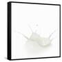 Milk Splash-Kröger and Gross-Framed Stretched Canvas