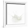 Milk Splash-Kröger and Gross-Framed Photographic Print