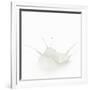 Milk Splash-Kröger and Gross-Framed Photographic Print