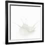 Milk Splash-Kröger and Gross-Framed Photographic Print