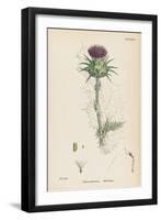 Milk Thistle-null-Framed Art Print