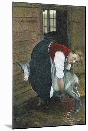 Milking a Goat, Norway-null-Mounted Art Print