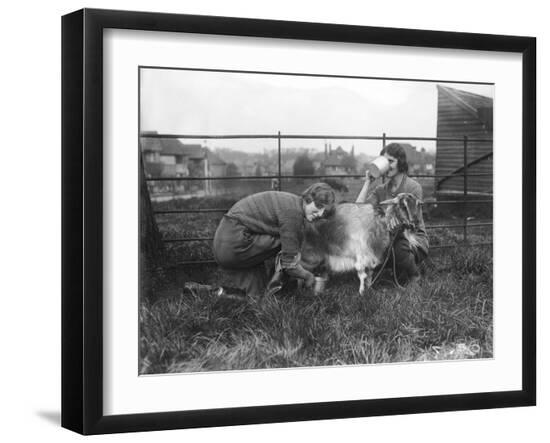 Premium Photographic Print, , large