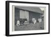 'Milking Cows', 1910-Pictorial Agency-Framed Giclee Print