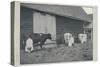 'Milking Cows', 1910-Pictorial Agency-Stretched Canvas