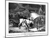 Milking of the Rein-Deer, 1843-Messrs Sly and Wilson-Mounted Giclee Print