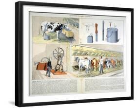 Milking Parlour Equipped with Thistle Suction and Pulsation Milking Machine, 1899-null-Framed Giclee Print