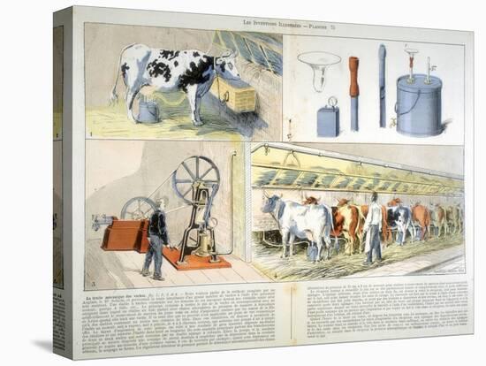 Milking Parlour Equipped with Thistle Suction and Pulsation Milking Machine, 1899-null-Stretched Canvas