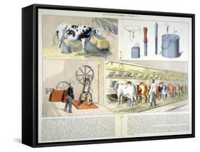 Milking Parlour Equipped with Thistle Suction and Pulsation Milking Machine, 1899-null-Framed Stretched Canvas