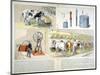 Milking Parlour Equipped with Thistle Suction and Pulsation Milking Machine, 1899-null-Mounted Giclee Print