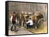 Milking-Time in a Dairy Barn, c.1870-null-Framed Stretched Canvas