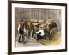 Milking-Time in a Dairy Barn, c.1870-null-Framed Giclee Print