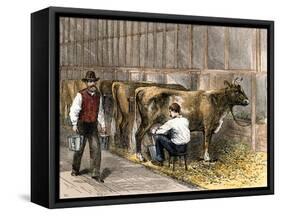 Milking-Time in a Dairy Barn, c.1870-null-Framed Stretched Canvas