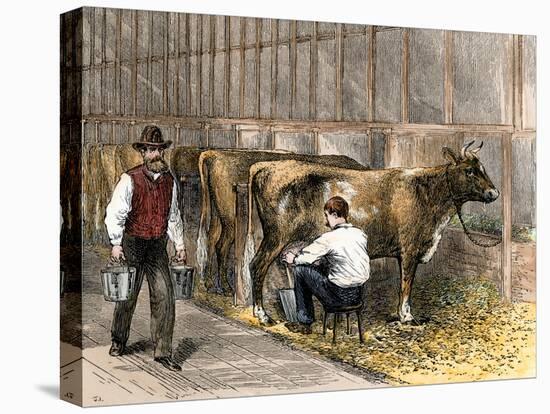 Milking-Time in a Dairy Barn, c.1870-null-Stretched Canvas