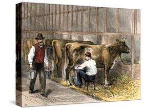 Milking-Time in a Dairy Barn, c.1870-null-Stretched Canvas