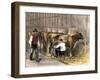 Milking-Time in a Dairy Barn, c.1870-null-Framed Giclee Print