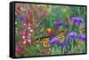 Milkweed Butterflies Resting-null-Framed Stretched Canvas