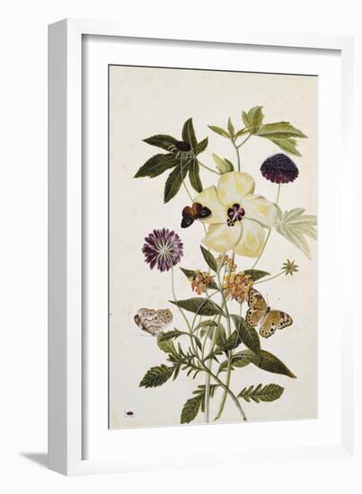 Milkweed, Poppy and Hibiscus with Butterflies and a Beetle-Thomas Robins Jr-Framed Giclee Print