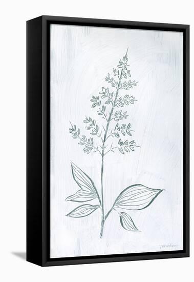 Milkweeds IV-Vanna Lam-Framed Stretched Canvas