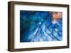 Milky flow-Heidi Westum-Framed Photographic Print