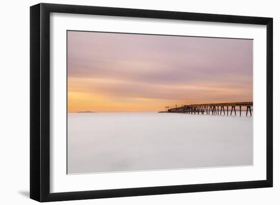 Milky Mussel Shoals-Chris Moyer-Framed Photographic Print