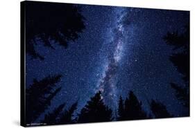 Milky Way At Night-Trends International-Stretched Canvas