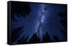 Milky Way At Night-Trends International-Framed Stretched Canvas