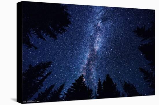 Milky Way At Night-Trends International-Stretched Canvas