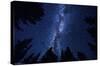 Milky Way At Night-Trends International-Stretched Canvas