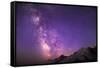 Milky Way (Constellation Sagittarius), Mt Rainier NP, Washington, USA-Gary Luhm-Framed Stretched Canvas