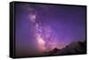 Milky Way (Constellation Sagittarius), Mt Rainier NP, Washington, USA-Gary Luhm-Framed Stretched Canvas