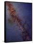 Milky Way Galaxy-Stocktrek Images-Framed Stretched Canvas