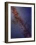 Milky Way Galaxy-Stocktrek Images-Framed Photographic Print