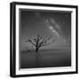 Milky Way in Botany Bay-Moises Levy-Framed Photographic Print